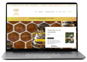 Website Portfolio Image