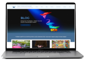 Website Portfolio Image